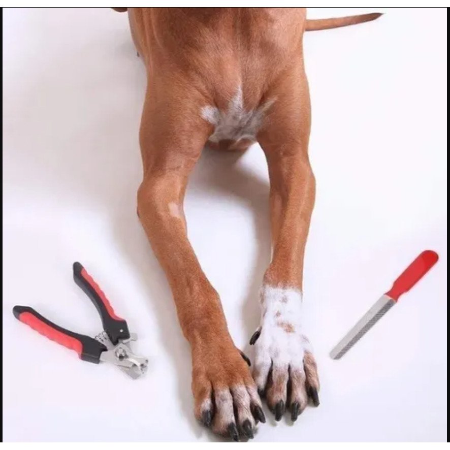 Cortador de Unhas e Lixa Colosso para Cães e Gatos Grande em Oferta na Shopee