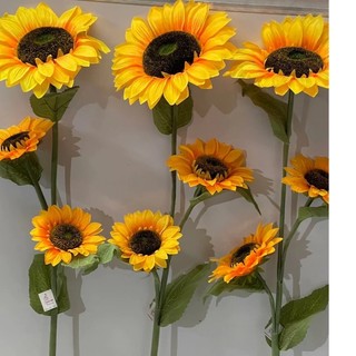 Girassol grande com 3 flores MY 2236my