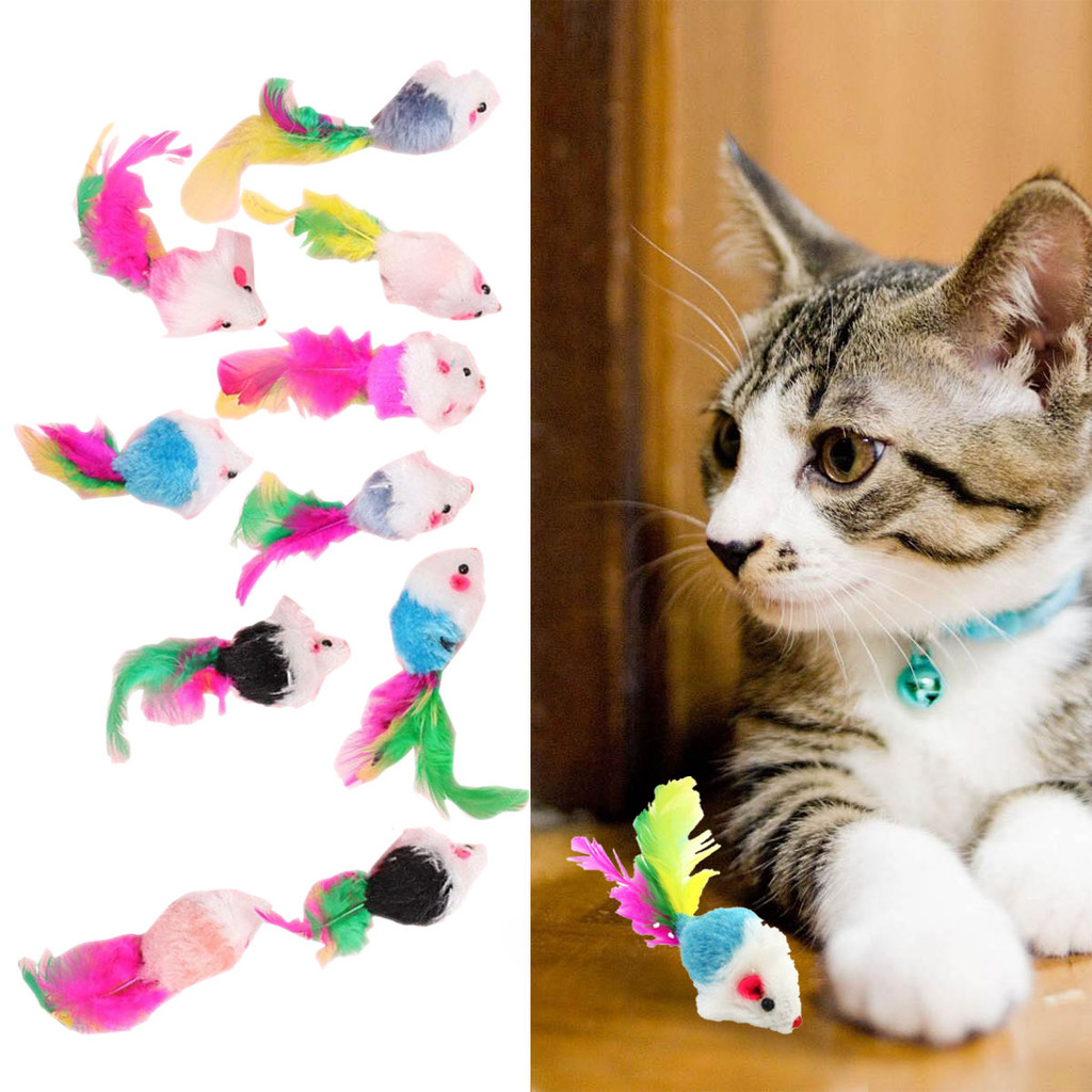 10 Pçs Brinquedo Do Gato-Mini Rato Falso Bonito , Brinquedos Pena Colorida Engraçado Jogando De Treinamento Suprimentos 
