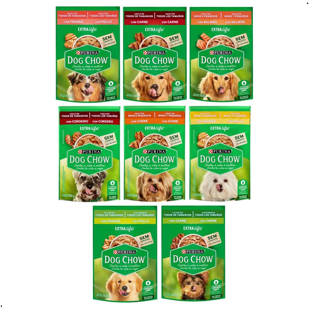 Filhotes de Chow Chow: Onde Comprar | BuscaProdutos