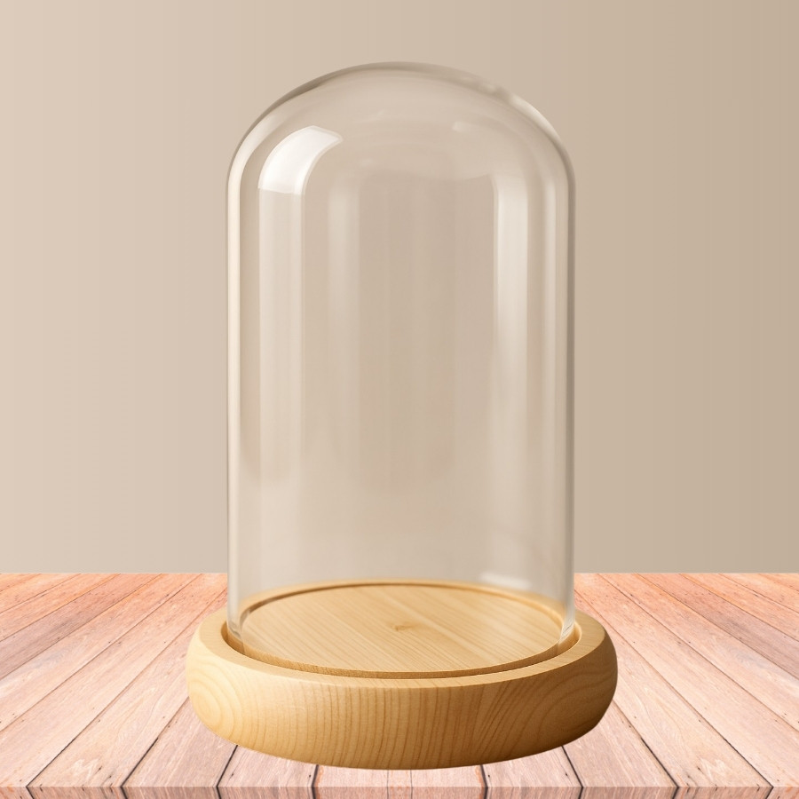 Cúpula de Vidro Decorativo - 9x20cm - Base Madeira Clara - 1 unidade - Rizzo