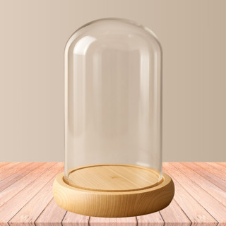 Cúpula de Vidro Decorativo - 9x20cm - Base Madeira Clara - 1 unidade - Rizzo em Oferta na Shopee