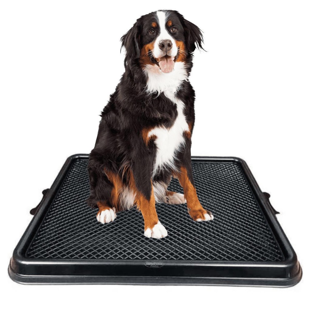 anitário Canino Higiênico Anti-odor Tamanho Grande Para Cães