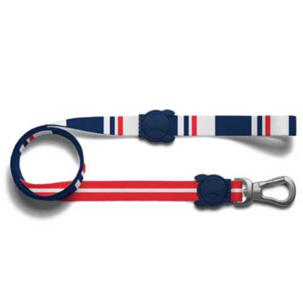 Guia Padrao Rocket PP | Zee Dog