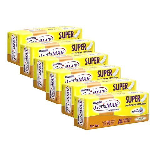 Absorvente Geriátrico Geriamax C/20 Unidades Kit C/6un