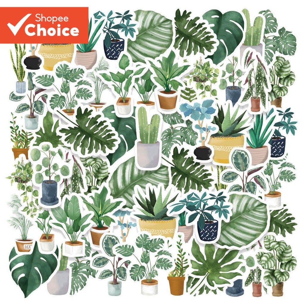 Adesivos De Decoração De PVC 46 Peças Fofos Cacto De Planta Suculenta Verde Fresco Para Copo De Diário