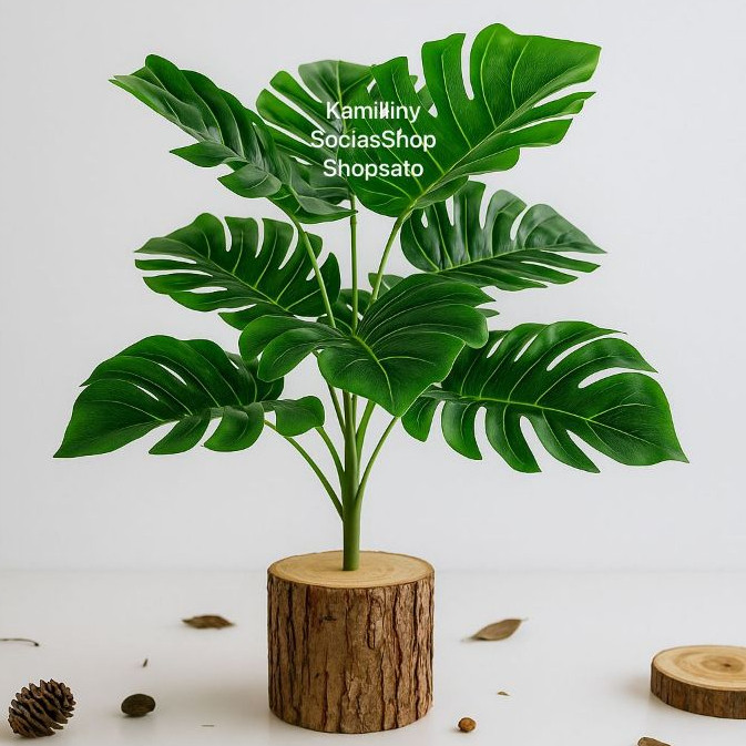 Buque Costela De Adão Artificial Verde Natural Toque Real em Oferta na Shopee