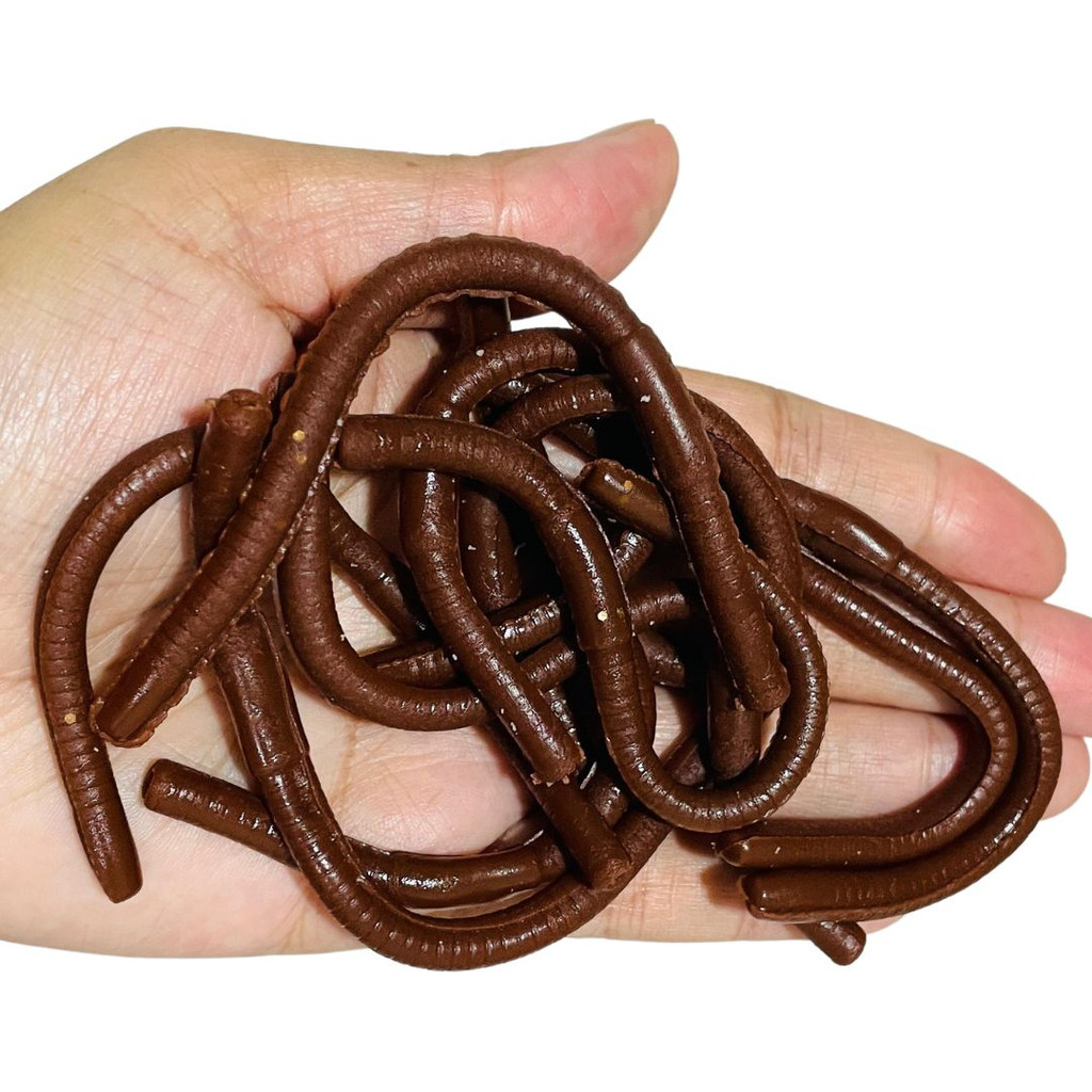 10 Isca Artificial Minhoca Minhocuçu 13cm Isca Minhoca