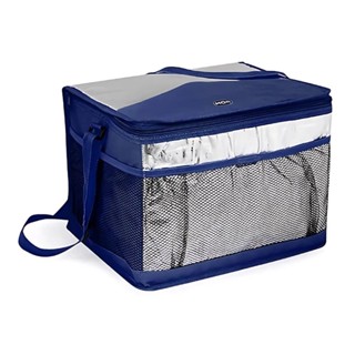 Bolsa Térmica 20L 003611 MOR em Oferta na Shopee