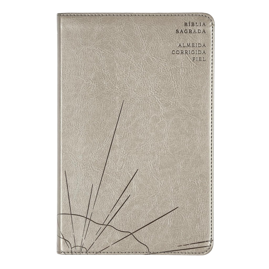 Bíblia Sagrada ACF | Slim | Luxo Cinza em Oferta na Shopee