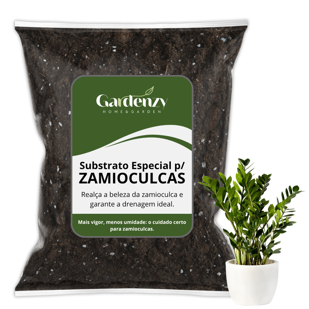 Zamioculca: Guia Completo e Onde Comprar | BuscaProdutos