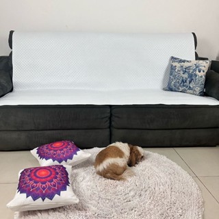 Protetor de Sofá Pet 100% Impermeável 200cm X 140cm em Oferta na Shopee