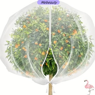Capa De Tela De Insetos Para Plantas MEBEAUTYBR , Rede Protetora De Árvores Frutíferas De Malha De Proteção De , Leve em Oferta na Shopee