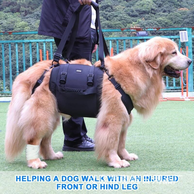 Estilingue De Cachorro Portátil Para Pernas Traseiras , Arnês De Suporte Quadril , Ajuda Canina Reabilitação De Cães , T