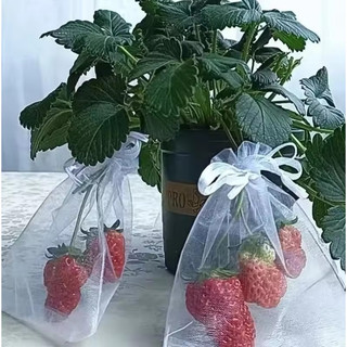 100 Sacos De Proteção De Frutas, Controle De Pragas, Anti-Pássaro, MORANGO  (9x12cm)