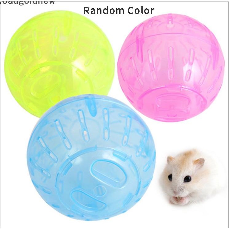 RGN Pet Hamster Brinquedos Exercício Bolas De Corrida Para Chinchila Rato Produtos NW