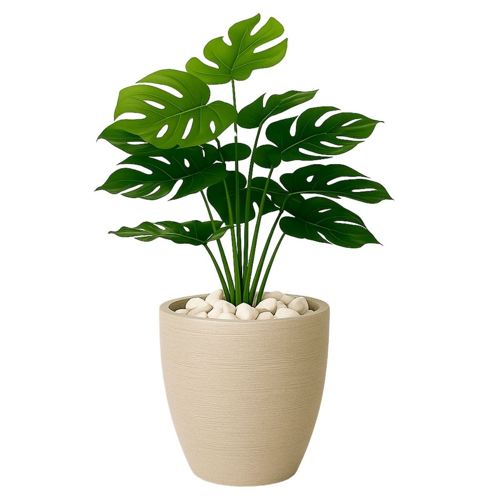 Costela De Adão Artifical + Vaso Polietileno Completo Cores em Oferta na Shopee