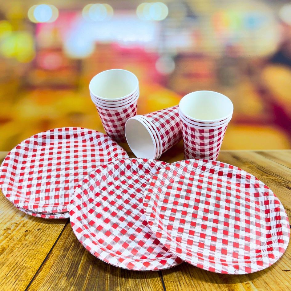 KIT VERMELHO XADREZ 20 PRATOS+20 COPOS DE PAPEL DESCARTÁVEL  ( SILVER FESTAS ) FESTA JUNINA 2025 em Oferta na Shopee