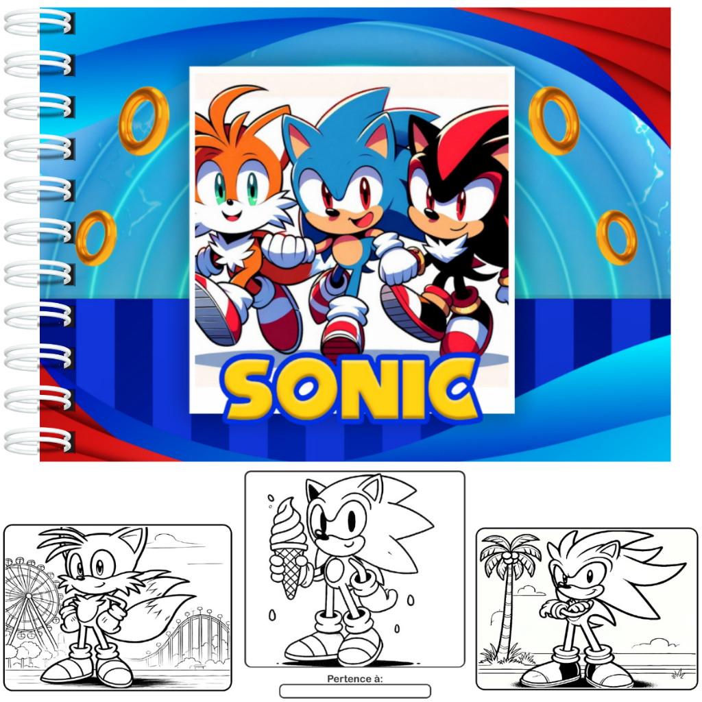 Livro de Colorir Sonic Capa Dura Holográfico 50 folhas 180g + Acetato Protetor