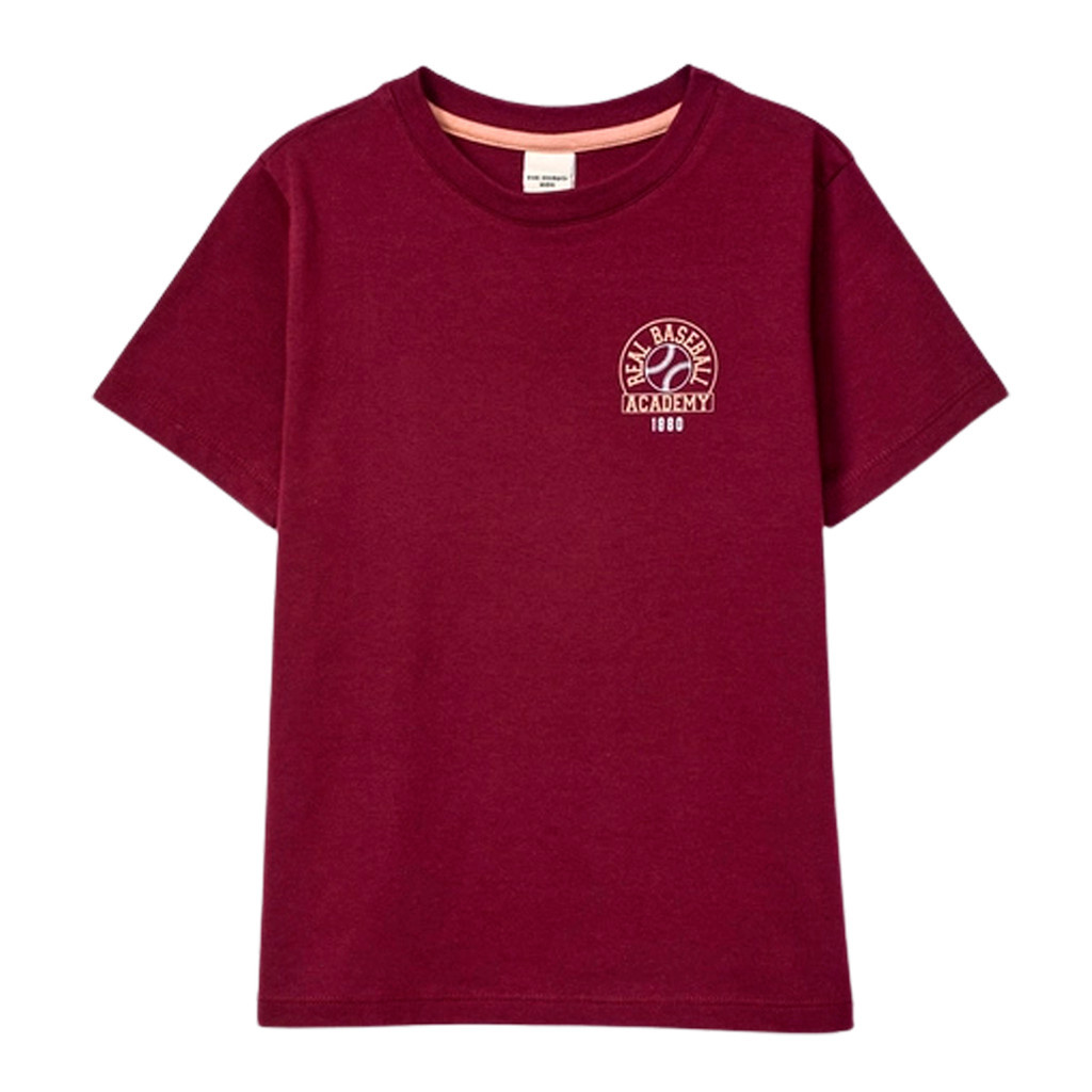 Camiseta Hering Vinho Infantil Menino Regular Estampada