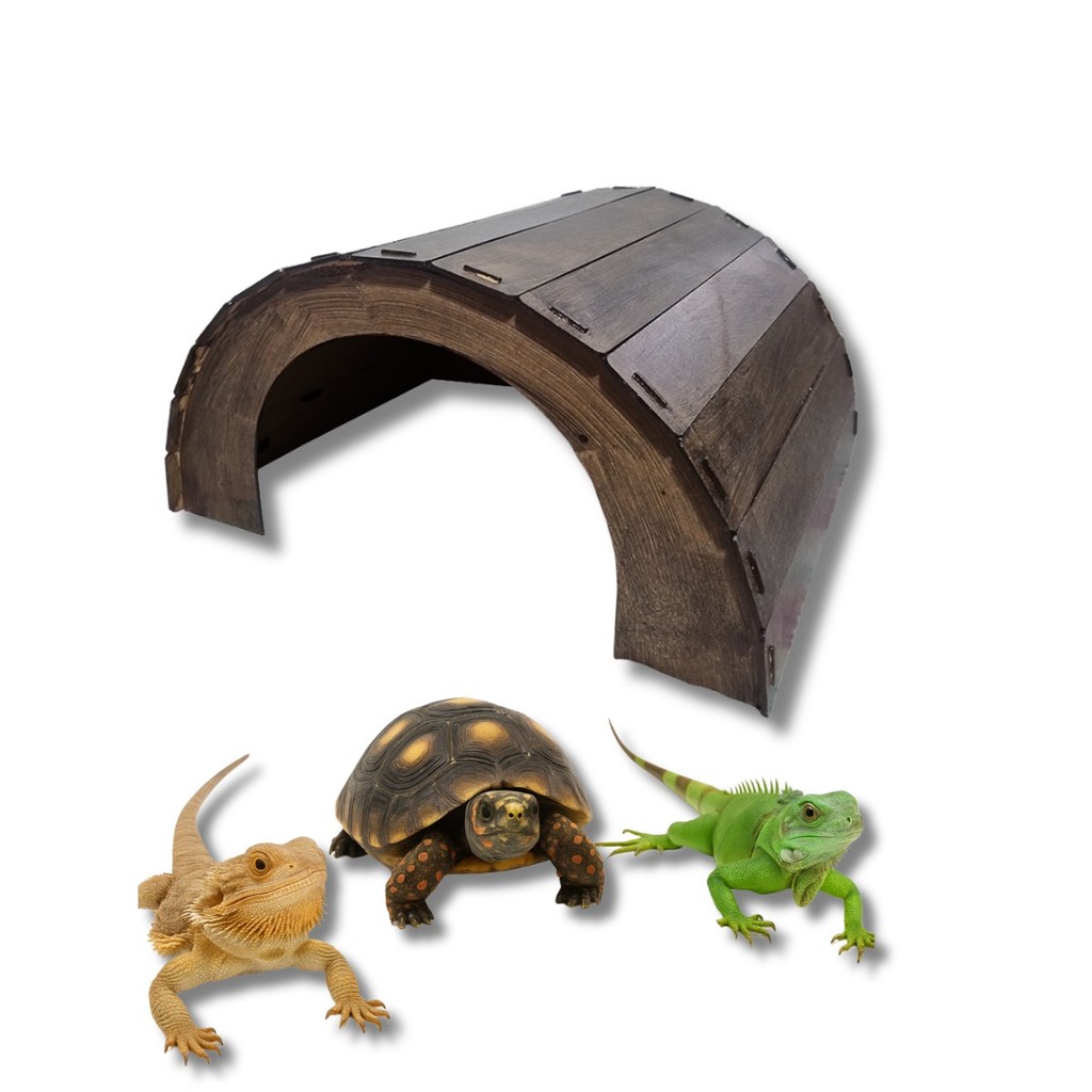 Casinha Iglu Toca Para Répteis Lagartos Iguanas E Jabutis em Oferta na Shopee