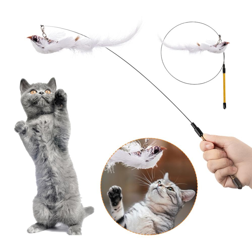TME ของเล่นแมวจําลองนกแบบโต้ตอบ Feather Bird พร้อม Bell Cat Stick สําหรับลูกแมว Teaser Wand - ภาพที่ 4