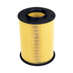 Filtro de Ar Ford Focus 1.6 16V Flex 2009 Em Diante e 2.0 16V Flex 2009 Em Diante