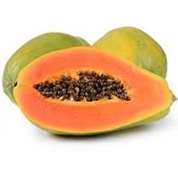 200 sementes 400 sementes 1000 sementes de Mamão Papaia Sunrise Solo Topseed Garden Blue Line