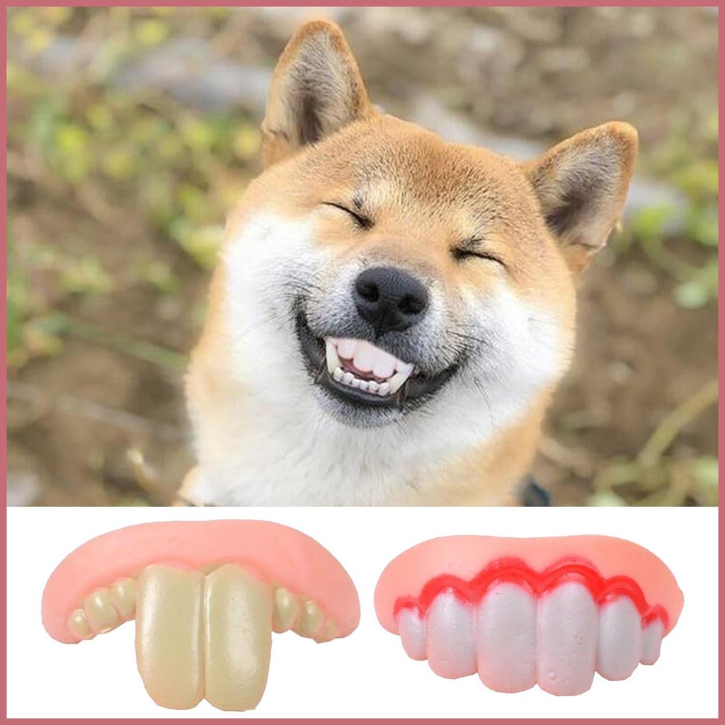 Brinquedo Dentadura Cachorro: Onde Comprar | BuscaProdutos