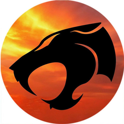 Capa Estepe Pneu Ecosport Crossfox Aircross Idea Thundercats