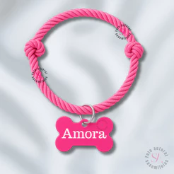 Coleira Colar de Cachorro com Nome Personalizado e Telefone J3