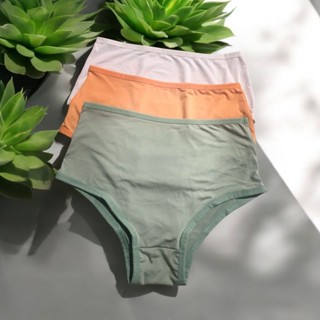 Kit com 10 Calçola Senhora Calcinha Plus Size Suede tanga Linha De Luxo em Oferta na Shopee