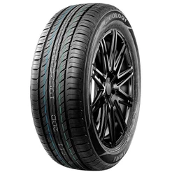 Pneu 225/65R17 102H Ecology C1 Xbri