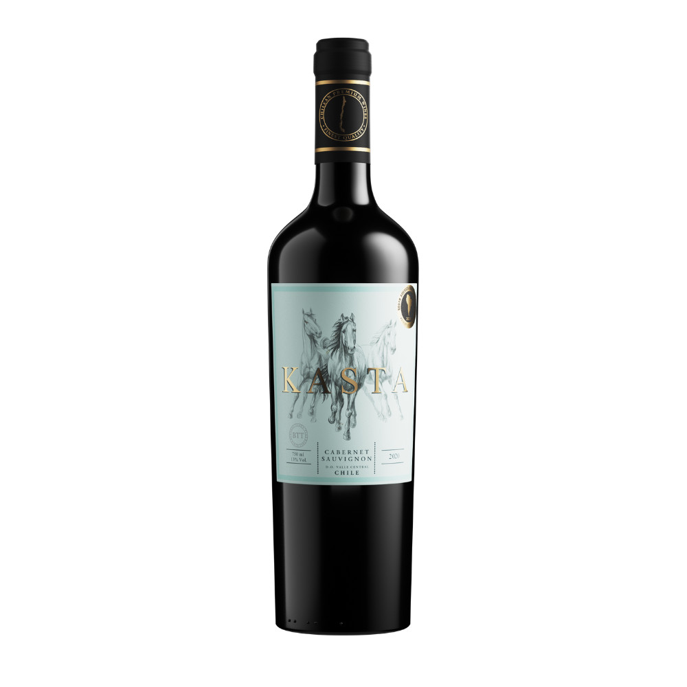 VINHO CHILENO KASTA SELECCION TINTO CAB SAUVIGNON 750ML