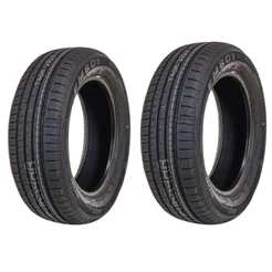 Kit 2 Pneus 205/55R16 91W FM601 Kpatos