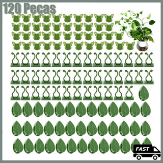 Kit 120 Folhas Clipe Adesivo Suporte de Parede Planta em Oferta na Shopee