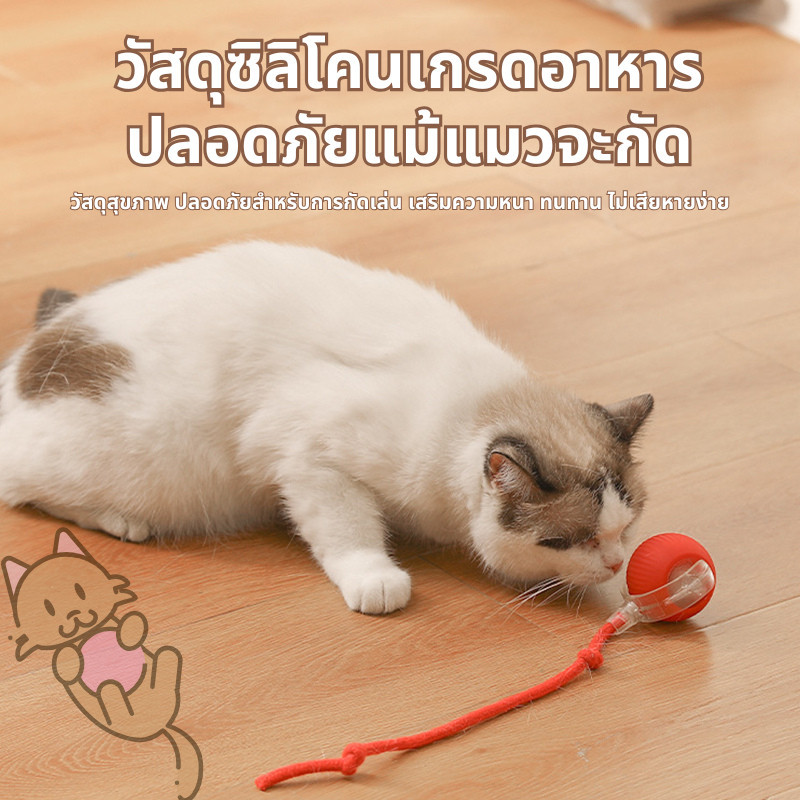 ลูกบอลแมว บอลแมวอัตโนมัติ ชาร์ตแบตได้ ของเล่นแมว สมาร์ทไฟฟ้า  หมุนได้ ของเล่นแมวโต้ตอบ ของใช้แมว - ภาพที่ 6
