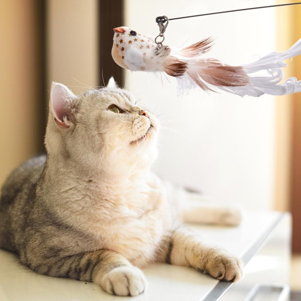 TME ของเล่นแมวจําลองนกแบบโต้ตอบ Feather Bird พร้อม Bell Cat Stick สําหรับลูกแมว Teaser Wand - ภาพที่ 6