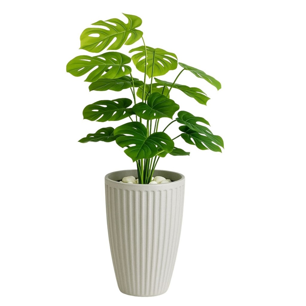 Costela De Adao Artifical com Vaso Polietileno Completo Casa em Oferta na Shopee