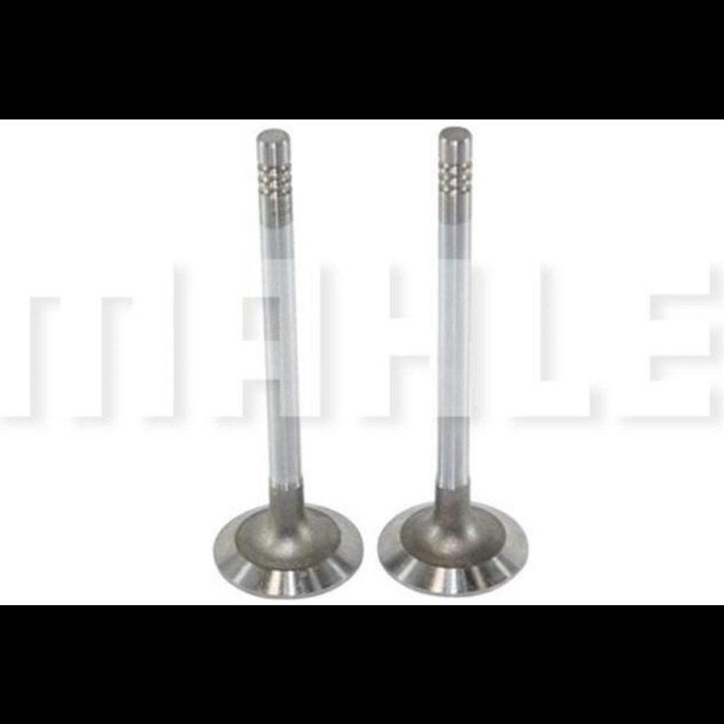 Par de Válvula admissão  Blazer 2000 a 2009 Metal Leve