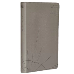 Biblia Sagrada Slim | ACF | Luxo Cinza