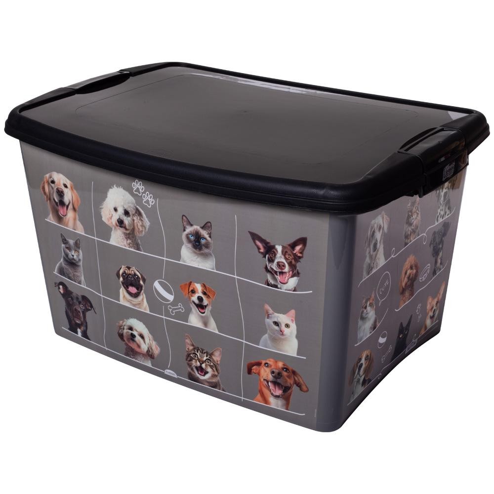 Caixa Decorada de Plástico Tampa e Trava Pet 18,7 L Plasutil em Oferta na Shopee