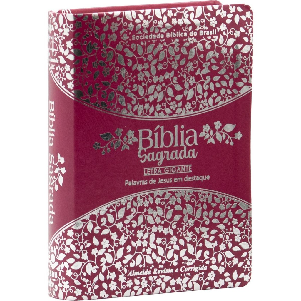 Bíblia Tamanho Médio Almeida: Onde Comprar | BuscaProdutos