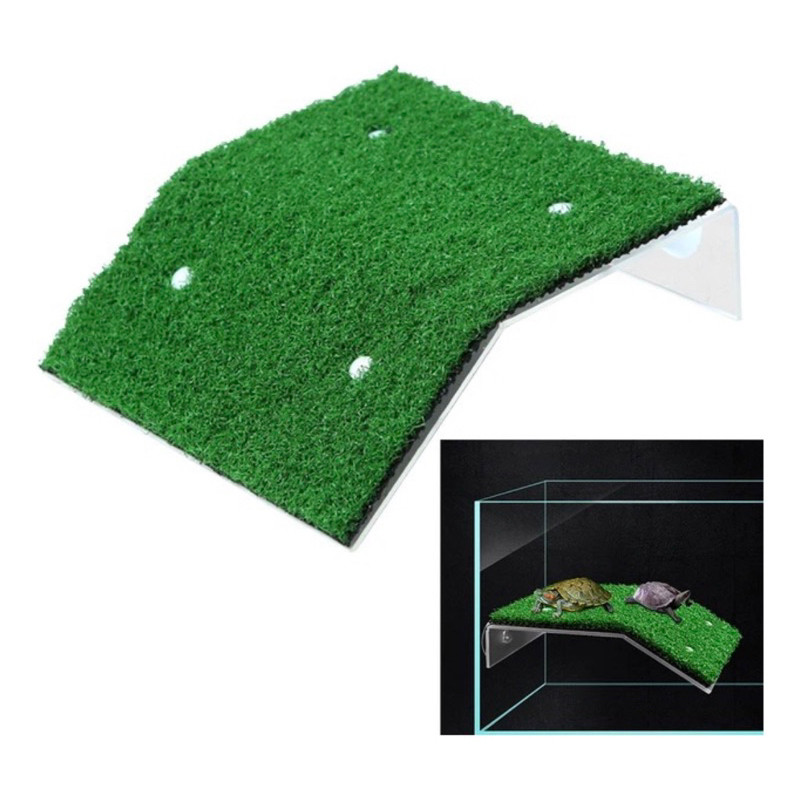 Plataforma Rampa de Grama Para Terrario De Tartatugas E Repteis Pequena Média e Grande em Oferta na Shopee