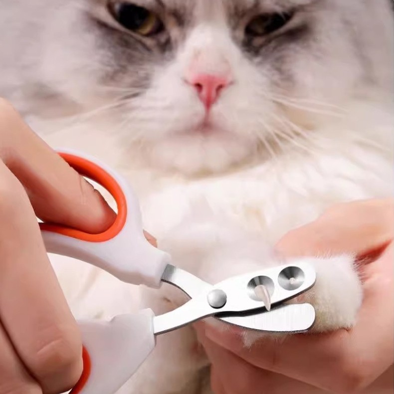 ortador De Unhas Alicate Com Furo Para Gato Corte Preciso Evita Sangramento Aço Inoxidável Tesoura LR-0217 em Oferta na Shopee