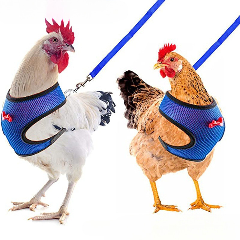 Colete para Animais de Estimação Estilo Gato Cão Respirável Frango Pato Moda Conjunto de Arnês de Malha com Laço e Leash