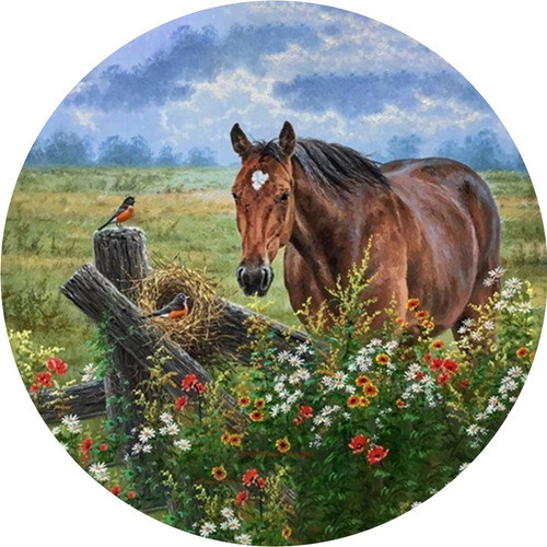 Capa Estepe Pneu Ecosport Crossfox Aircross Natureza Cavalo