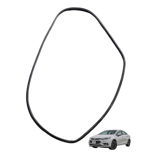 Borracha Porta Traseira Direita Chevrolet Cruze 2017 Usado