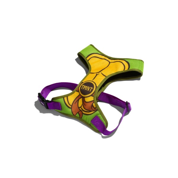 O que é Coleira para Tartaruga? Guia e Onde Comprar | BuscaProdutos