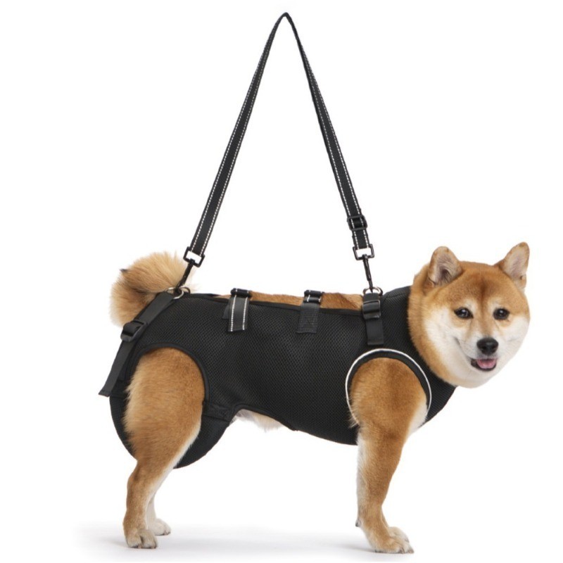 Roupas De Reabilitação Para Cães Idosos Leves E Respiráveis Auxiliares Cachorro Com Deficiência Saindo Cinto Auxiliar Ob — imagem 2 de 2